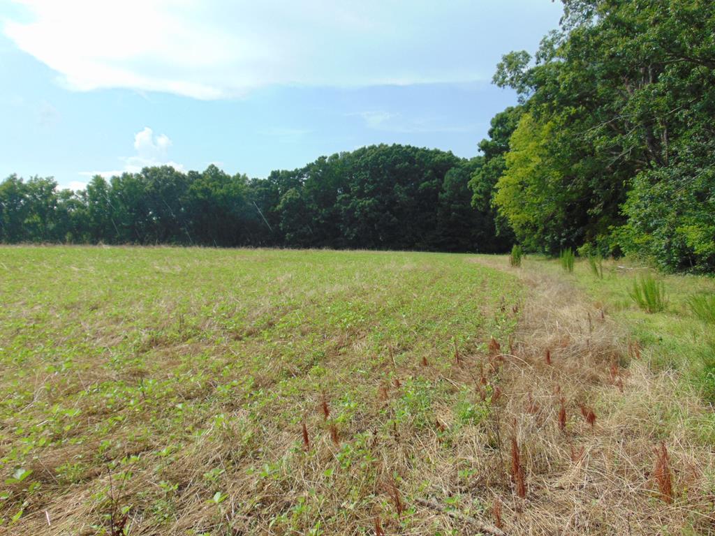 00 Epps Fork Road Property Photo 3