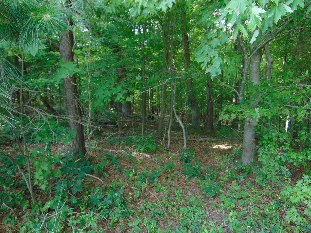 00 Epps Fork Road Property Photo 4