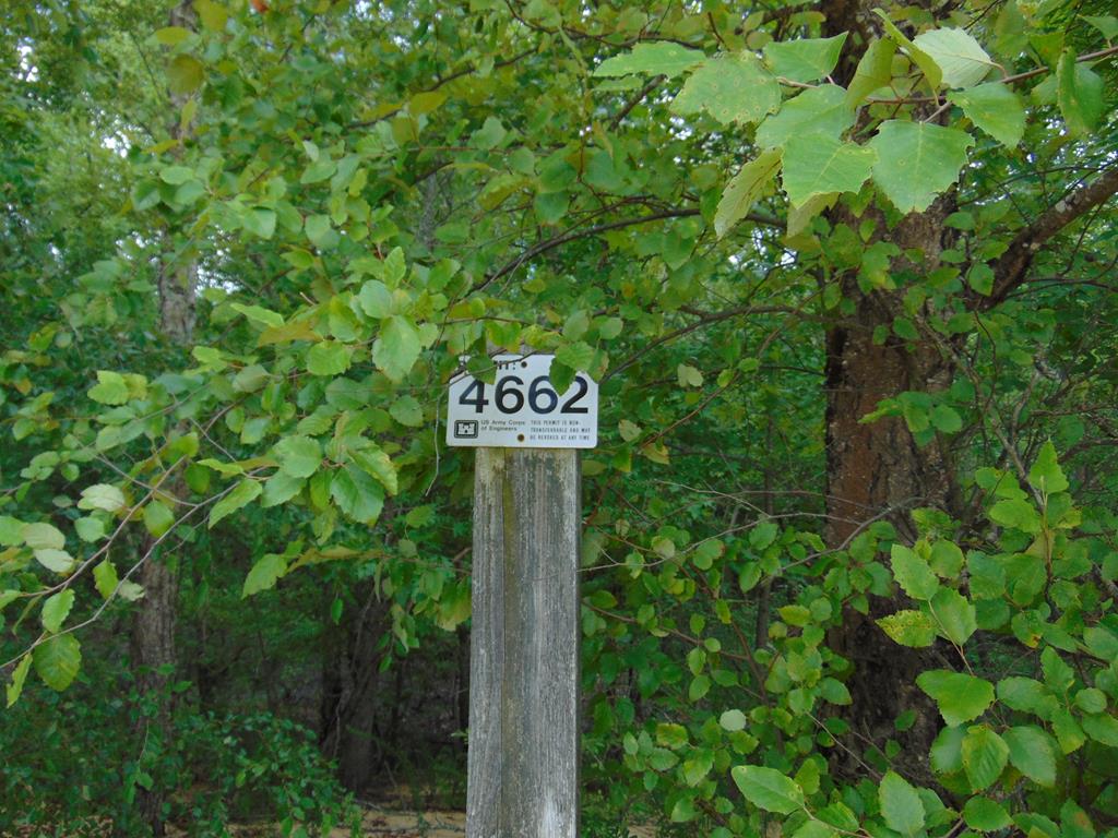 00 Epps Fork Road Property Photo 8