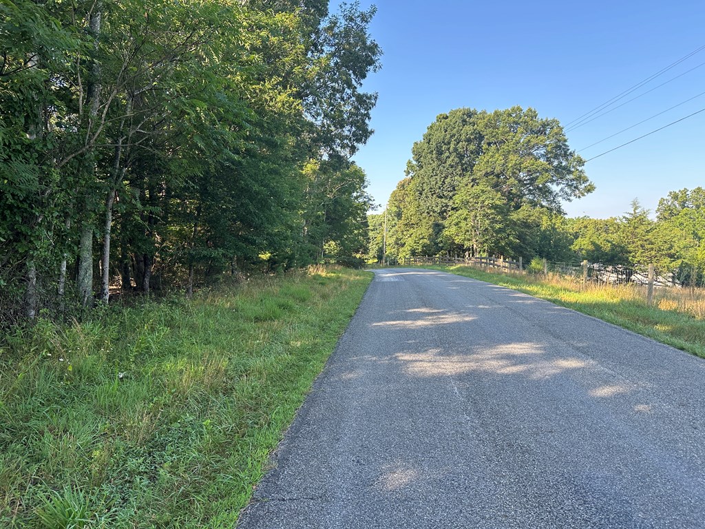 Lot 2b Gidsville Road Property Photo 2