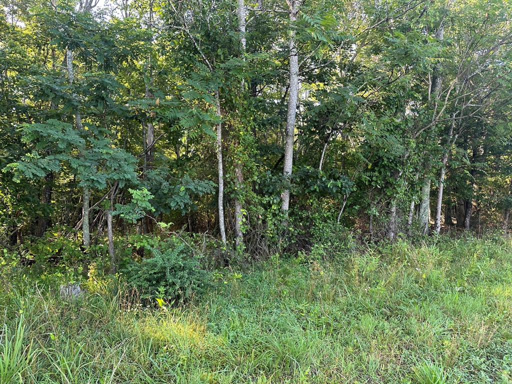 Lot 2b Gidsville Road Property Photo 3