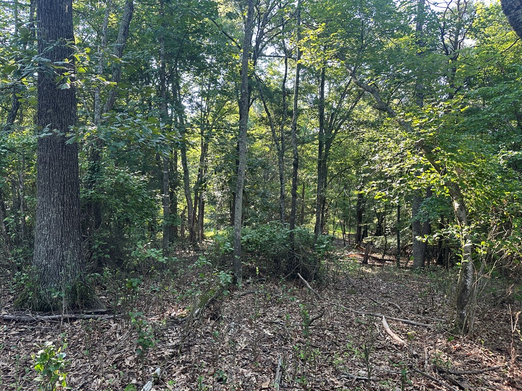 Lot 2b Gidsville Road Property Photo 4