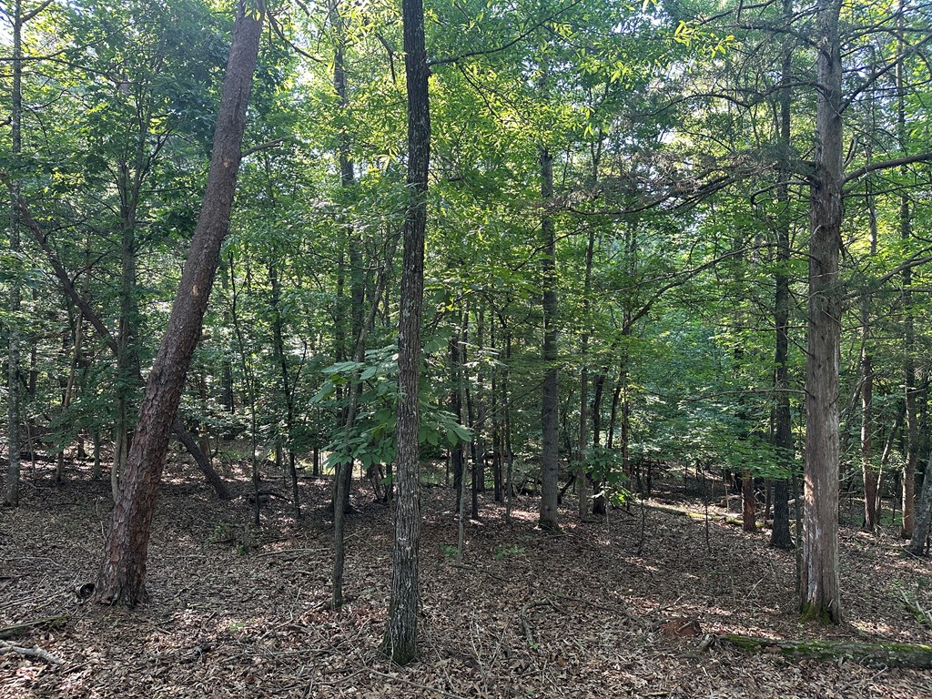 Lot 2b Gidsville Road Property Photo 5