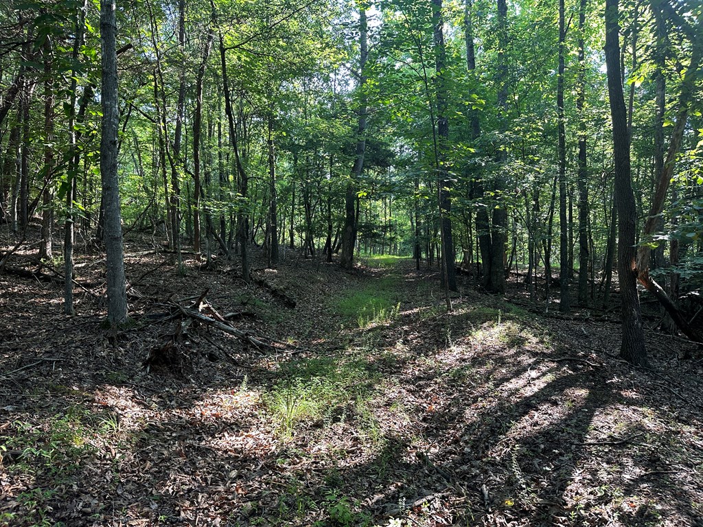 Lot 2b Gidsville Road Property Photo 8