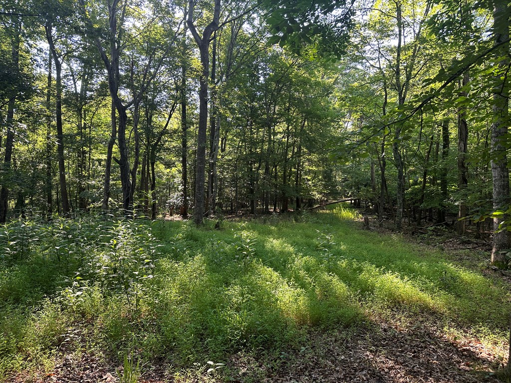 Lot 2b Gidsville Road Property Photo 10