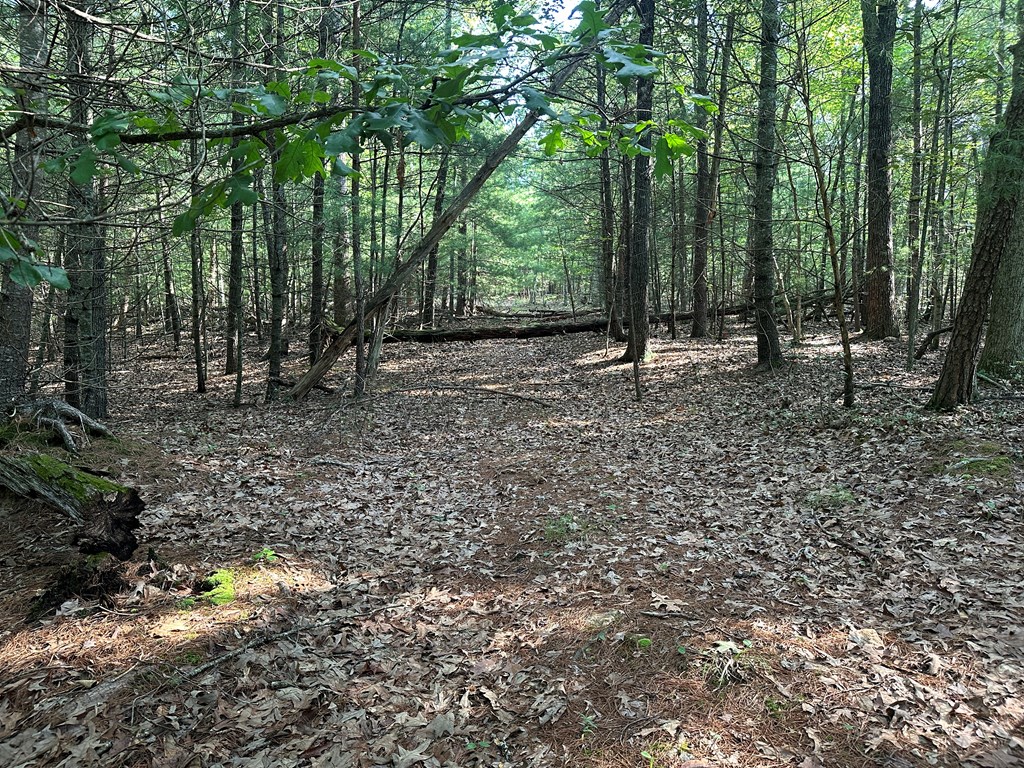 Lot 2b Gidsville Road Property Photo 13