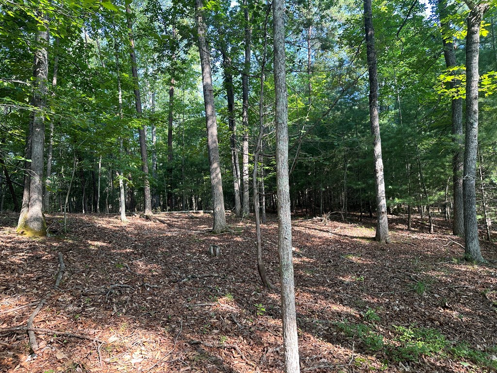 Lot 2b Gidsville Road Property Photo 14