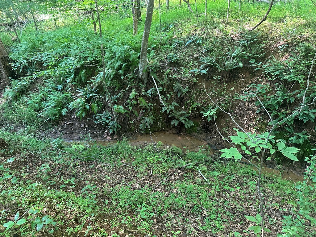 Lot 2b Gidsville Road Property Photo 22