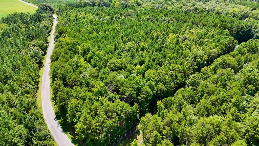 42 Beech Creek Road Property Photo 1