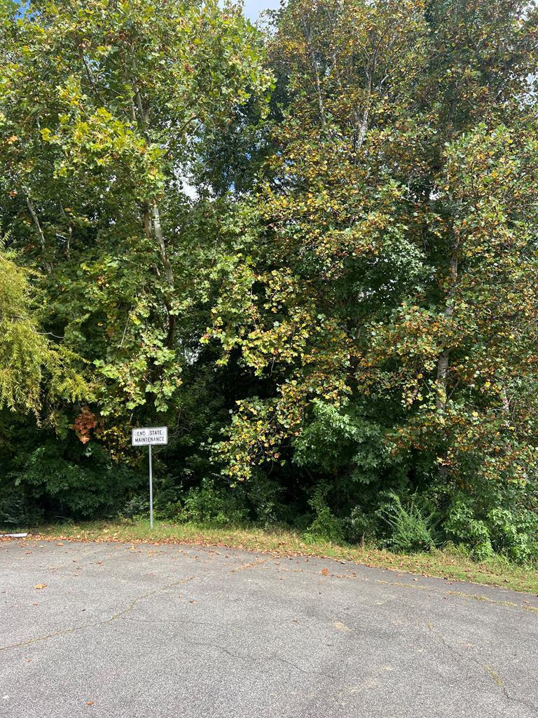 1.51 Ac Brook Run Property Photo 2