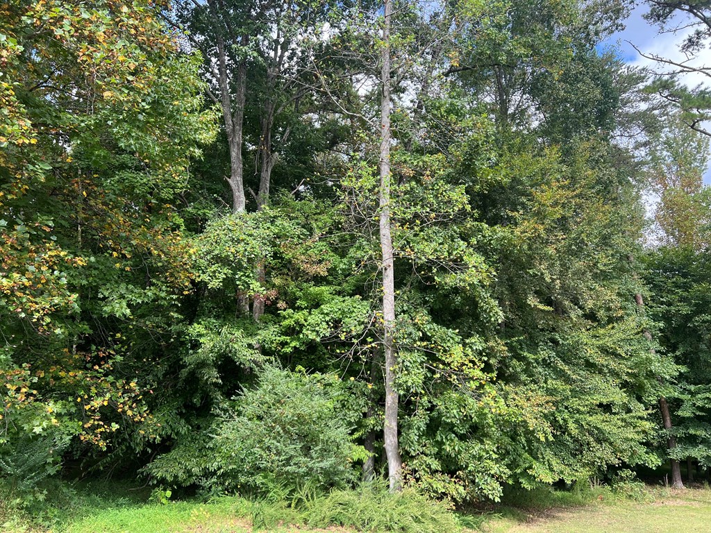 1.51 Ac Brook Run Property Photo 3