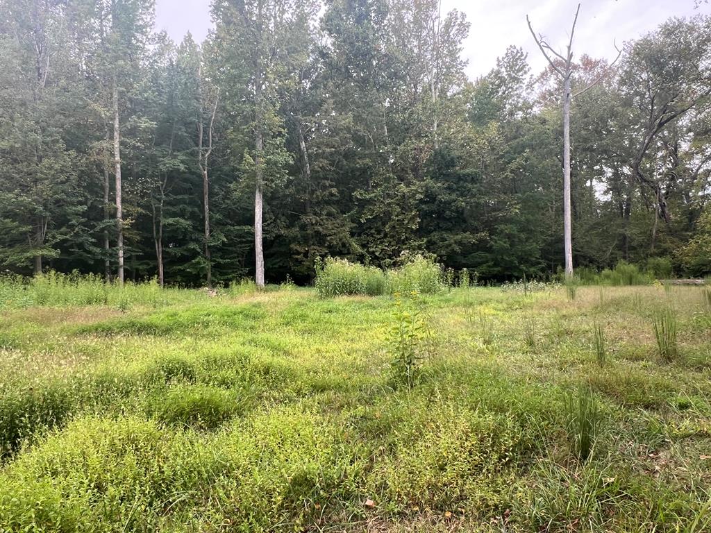 1.51 Ac Brook Run Property Photo 4