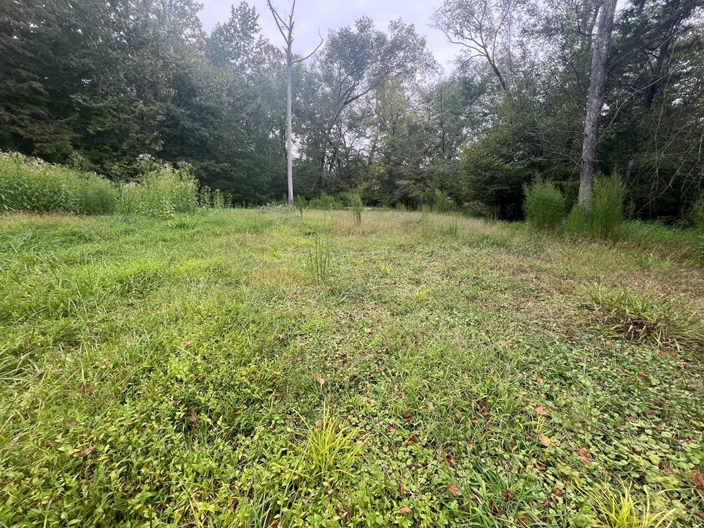 1.51 Ac Brook Run Property Photo 5