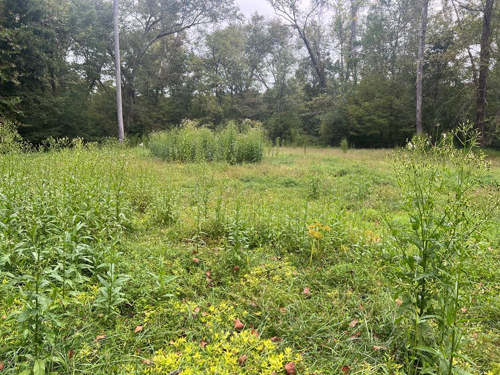 1.51 Ac Brook Run Property Photo 6