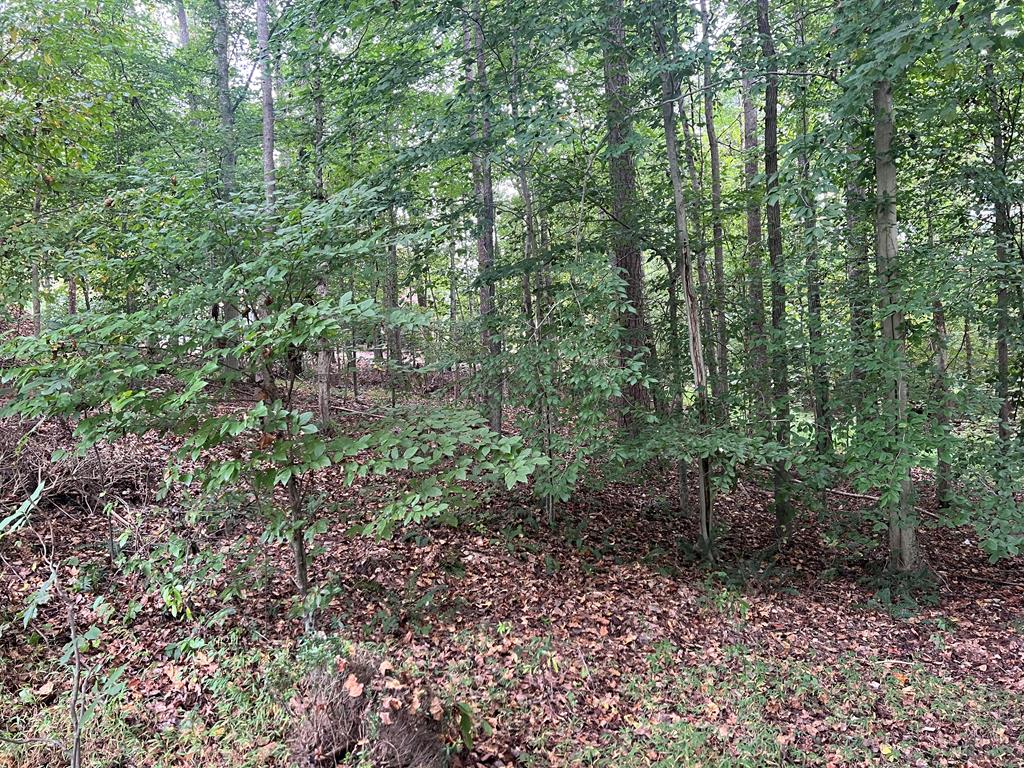 1.51 Ac Brook Run Property Photo 7