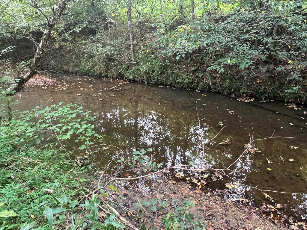 1.51 Ac Brook Run Property Photo 8