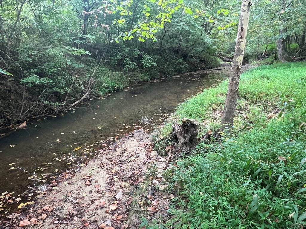 1.51 Ac Brook Run Property Photo 9