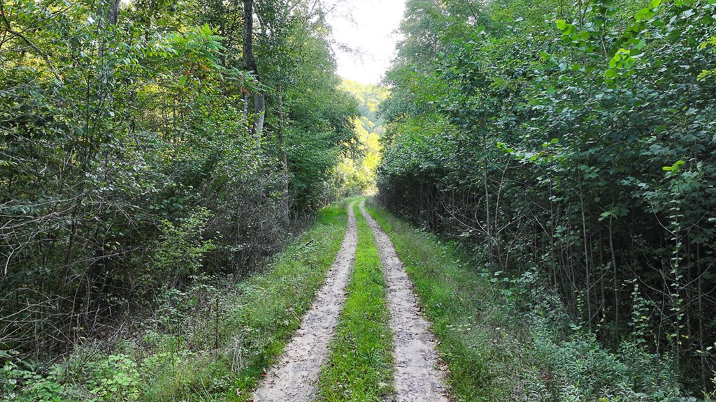 2047 Old Horse Mountain Road Property Photo 4