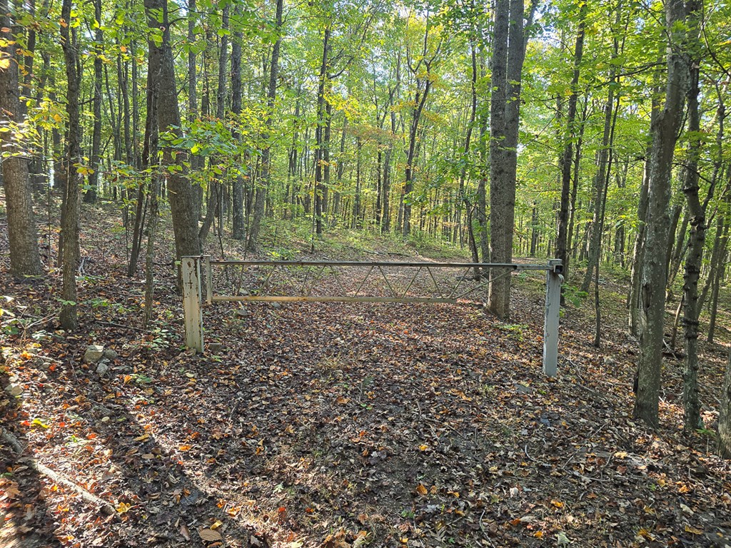 2047 Old Horse Mountain Road Property Photo 5
