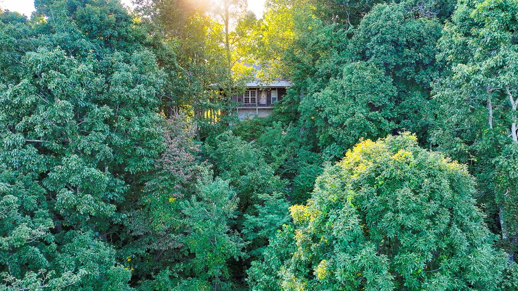 2047 Old Horse Mountain Road Property Photo 6