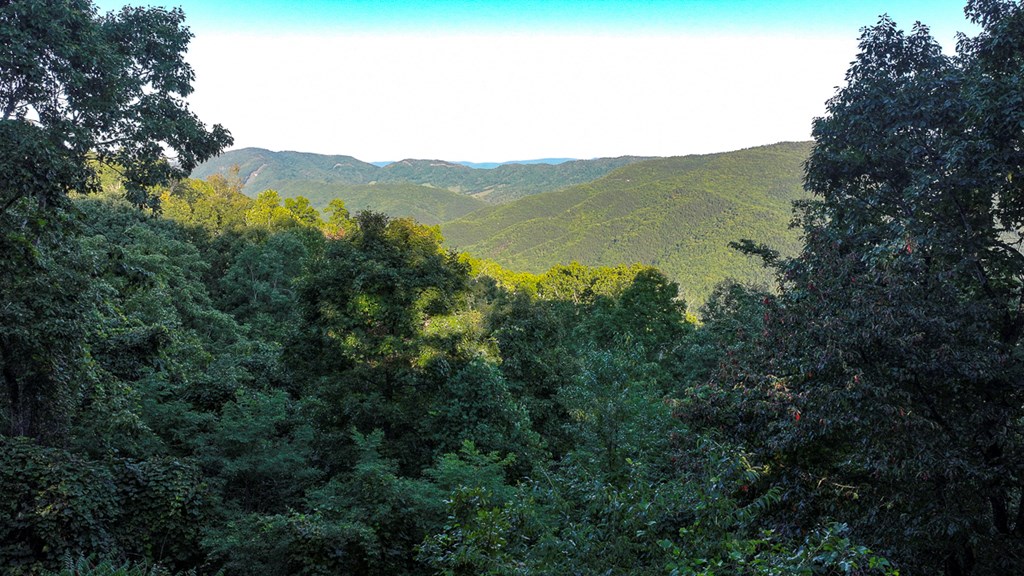 2047 Old Horse Mountain Road Property Photo 33
