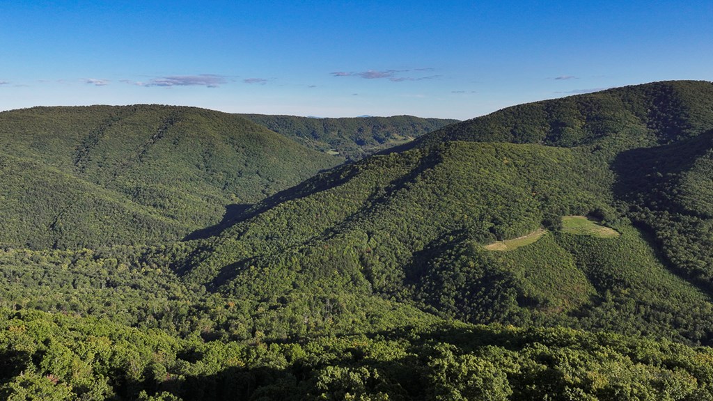 2047 Old Horse Mountain Road Property Photo 35