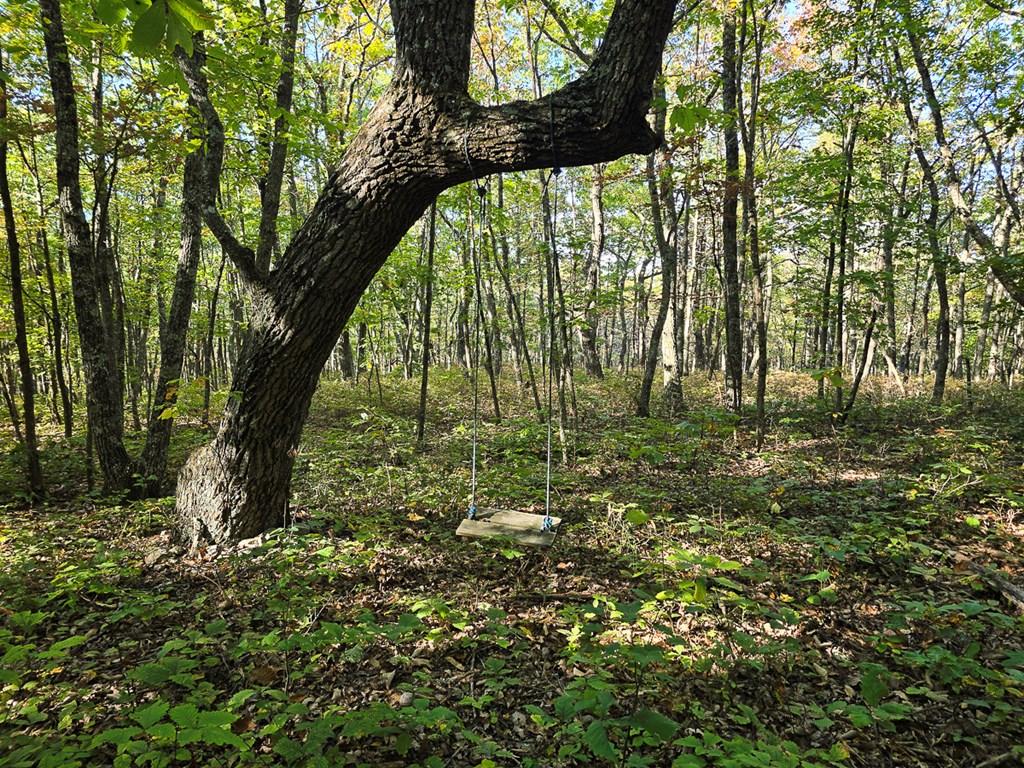 2047 Old Horse Mountain Road Property Photo 36