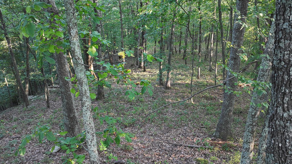 2047 Old Horse Mountain Road Property Photo 37