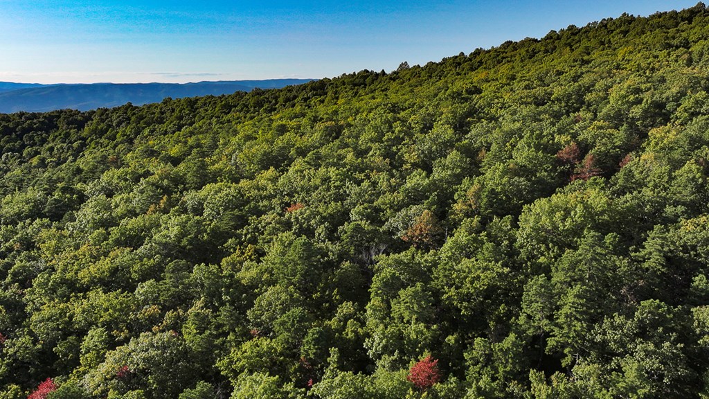 2047 Old Horse Mountain Road Property Photo 39