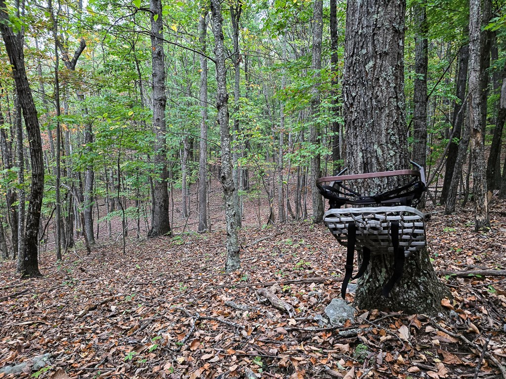 2047 Old Horse Mountain Road Property Photo 46