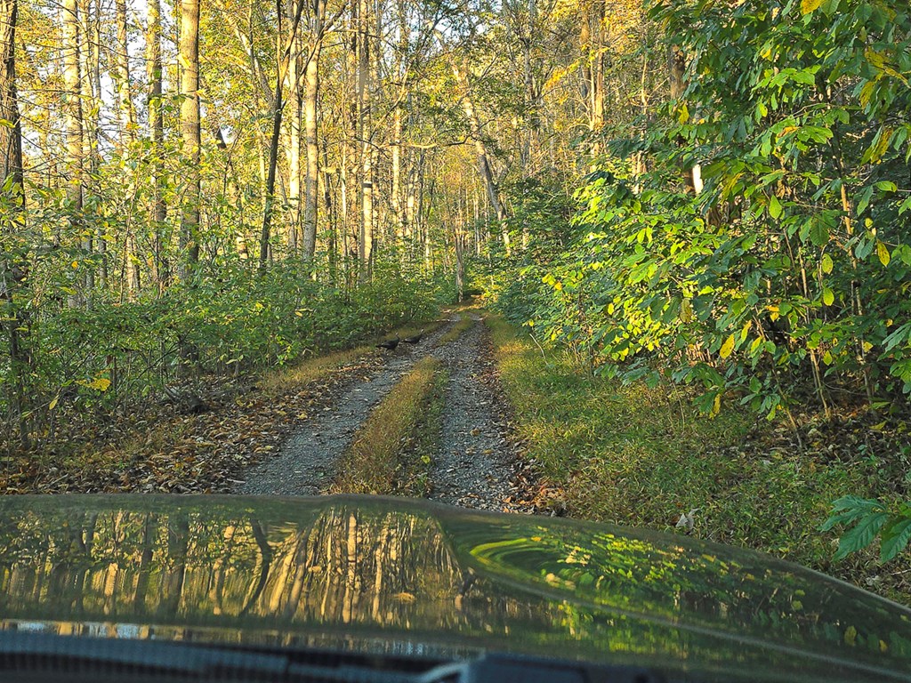 2047 Old Horse Mountain Road Property Photo 48