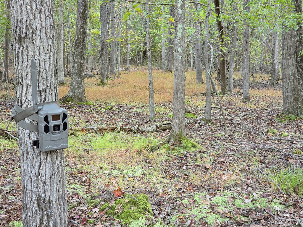 2047 Old Horse Mountain Road Property Photo 50