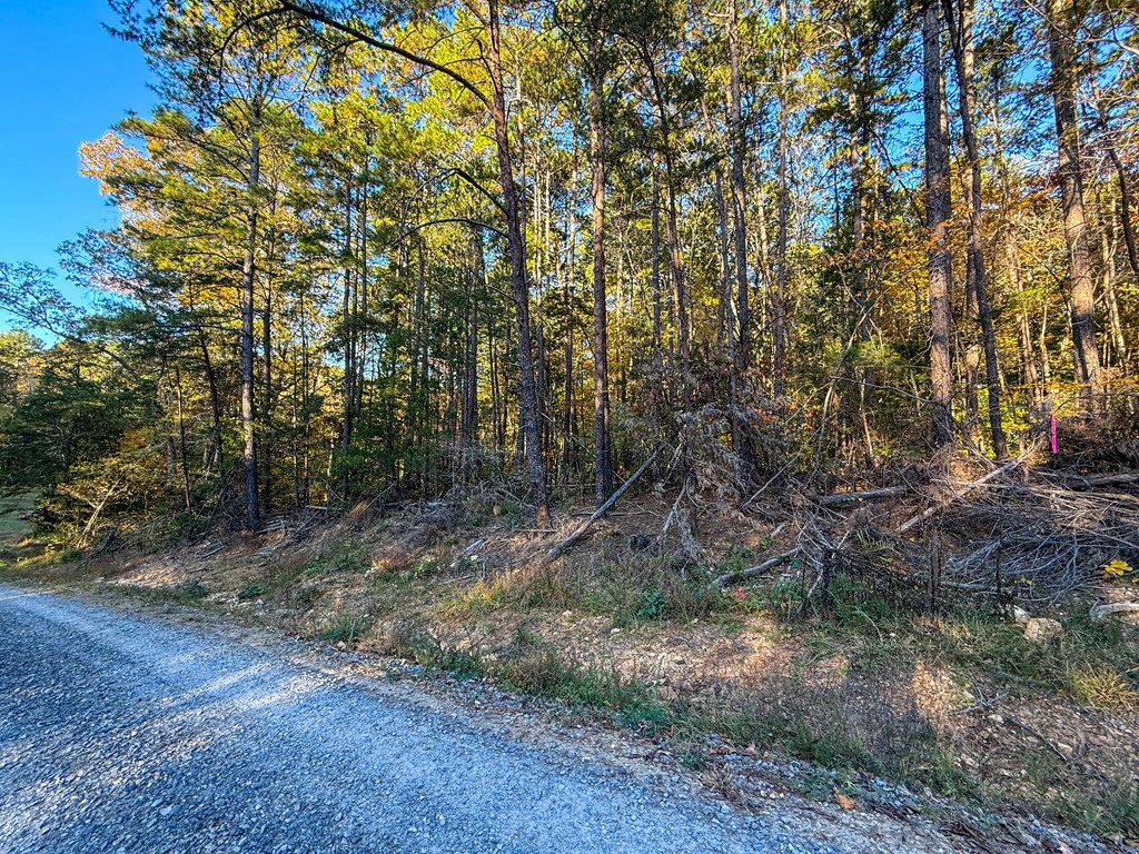 245 River View Drive Property Photo 8