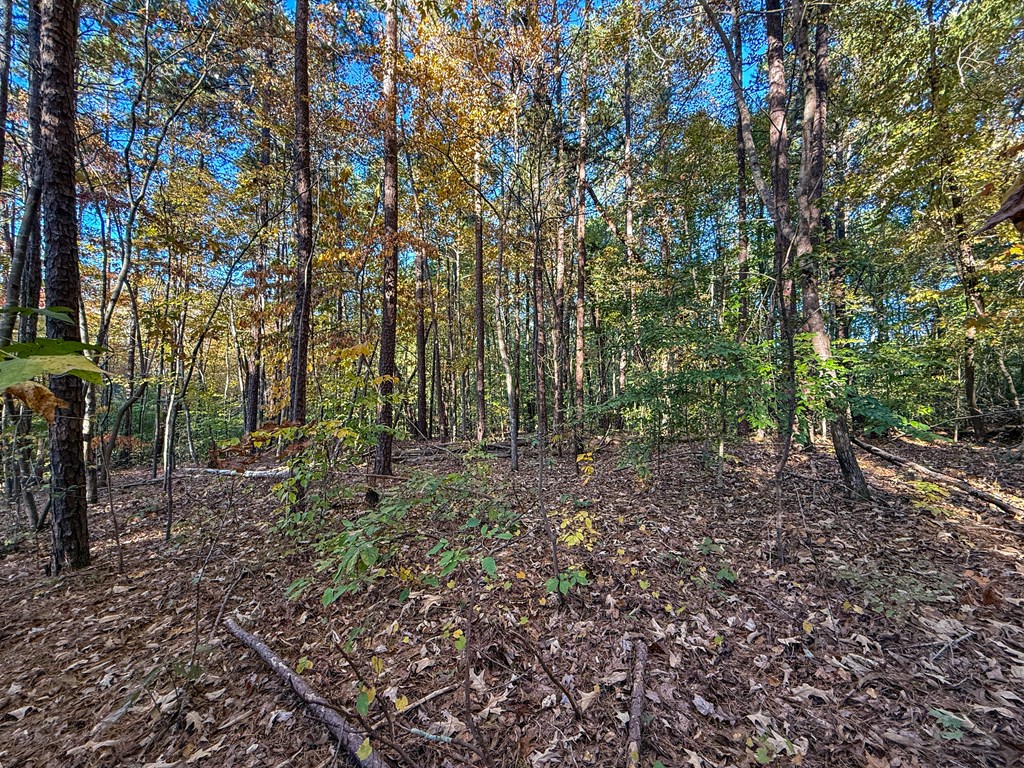 245 River View Drive Property Photo 12