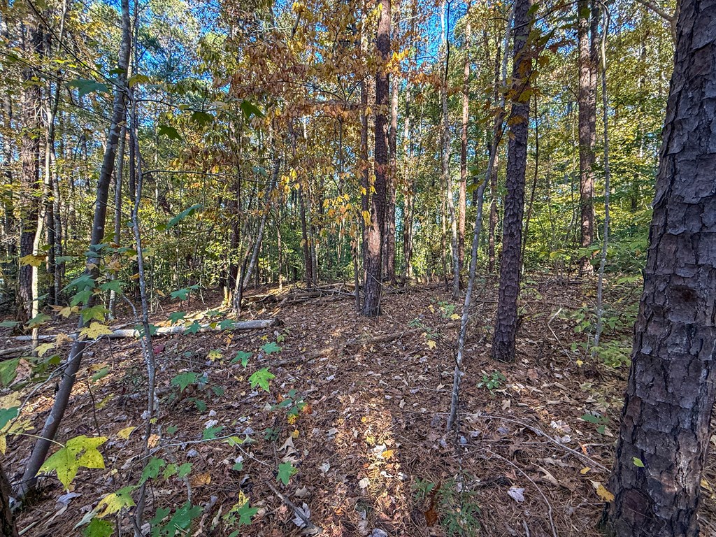 245 River View Drive Property Photo 13
