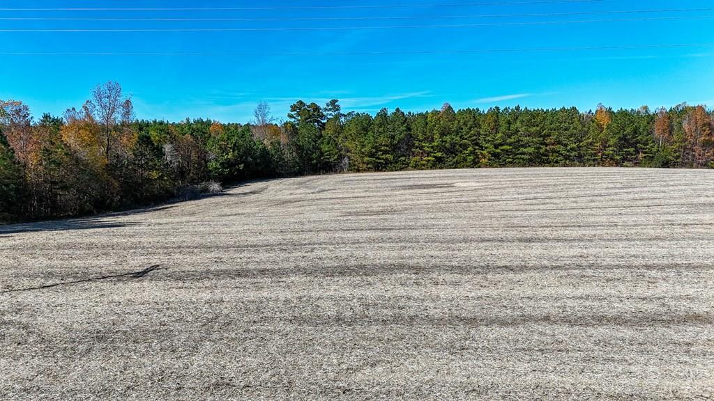 5660 Longview Drive Property Photo 1
