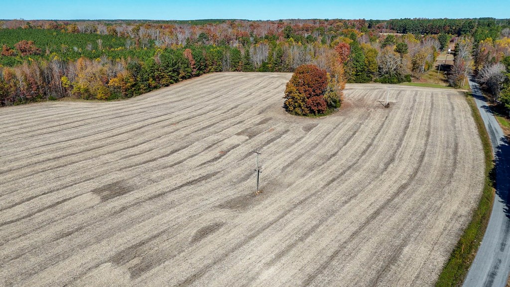 5660 Longview Drive Property Photo 13