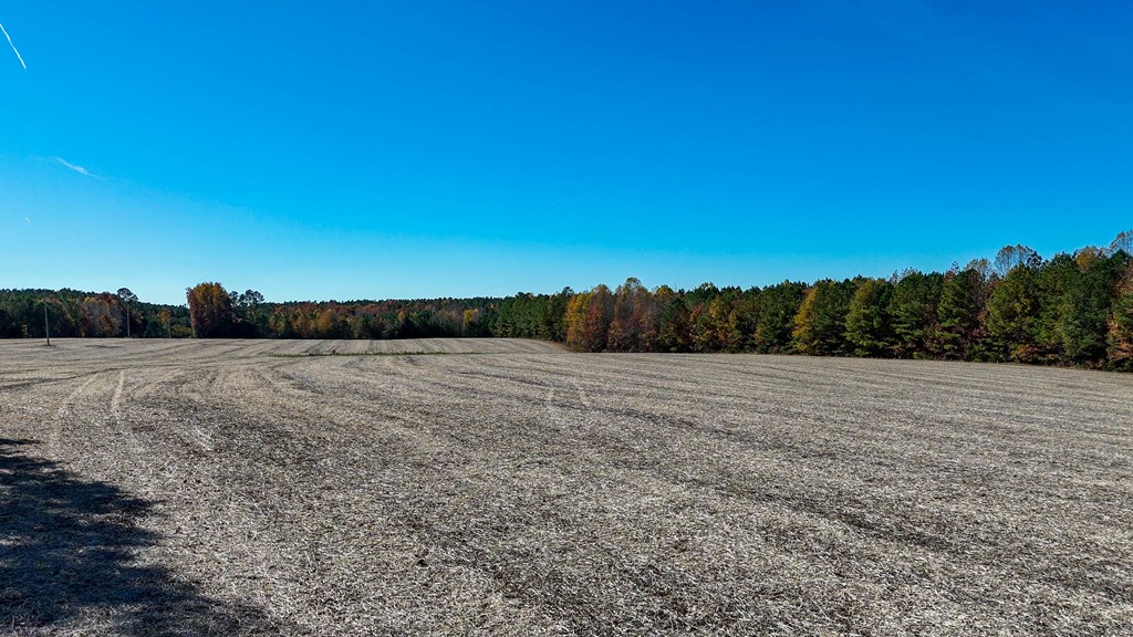 5664 Longview Drive Property Photo 4