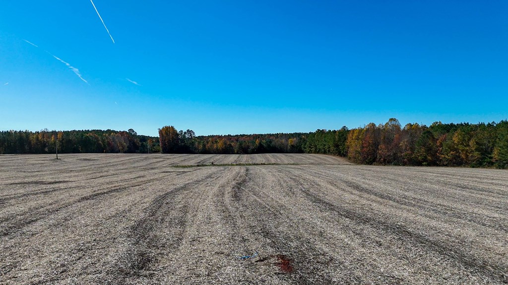 5664 Longview Drive Property Photo 13