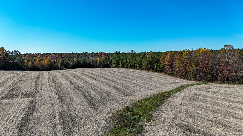 5664 Longview Drive Property Photo 18