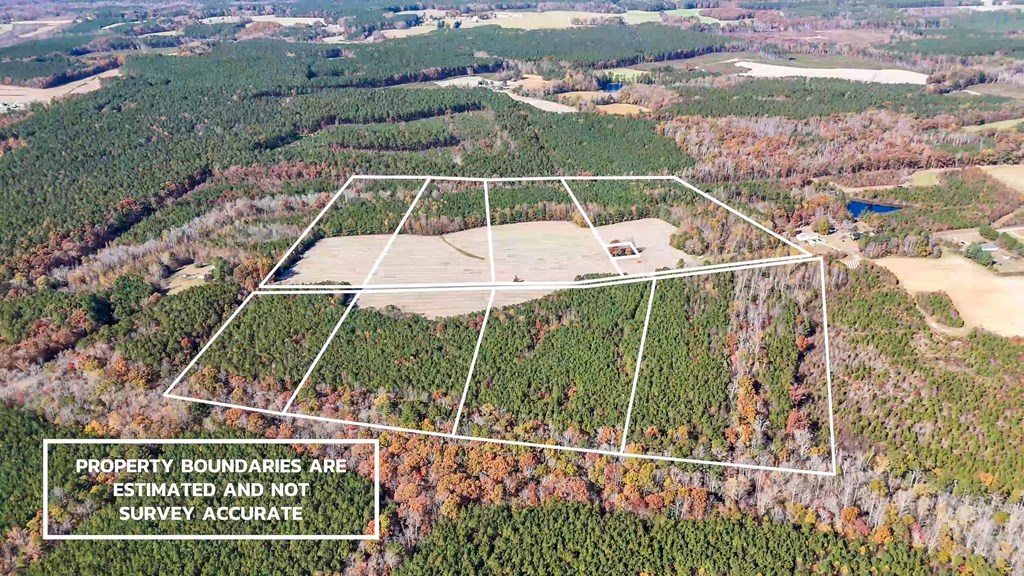 5667 Longview Drive Property Photo 3