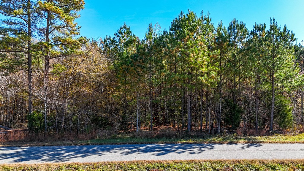 5667 Longview Drive Property Photo 4