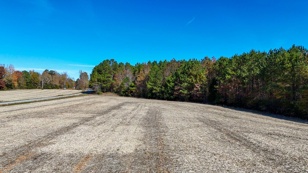 5667 Longview Drive Property Photo 8