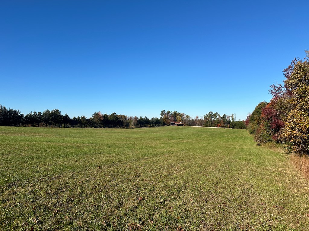 60 Acres Herzig Road Property Photo 2