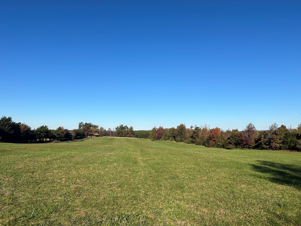 60 Acres Herzig Road Property Photo 4