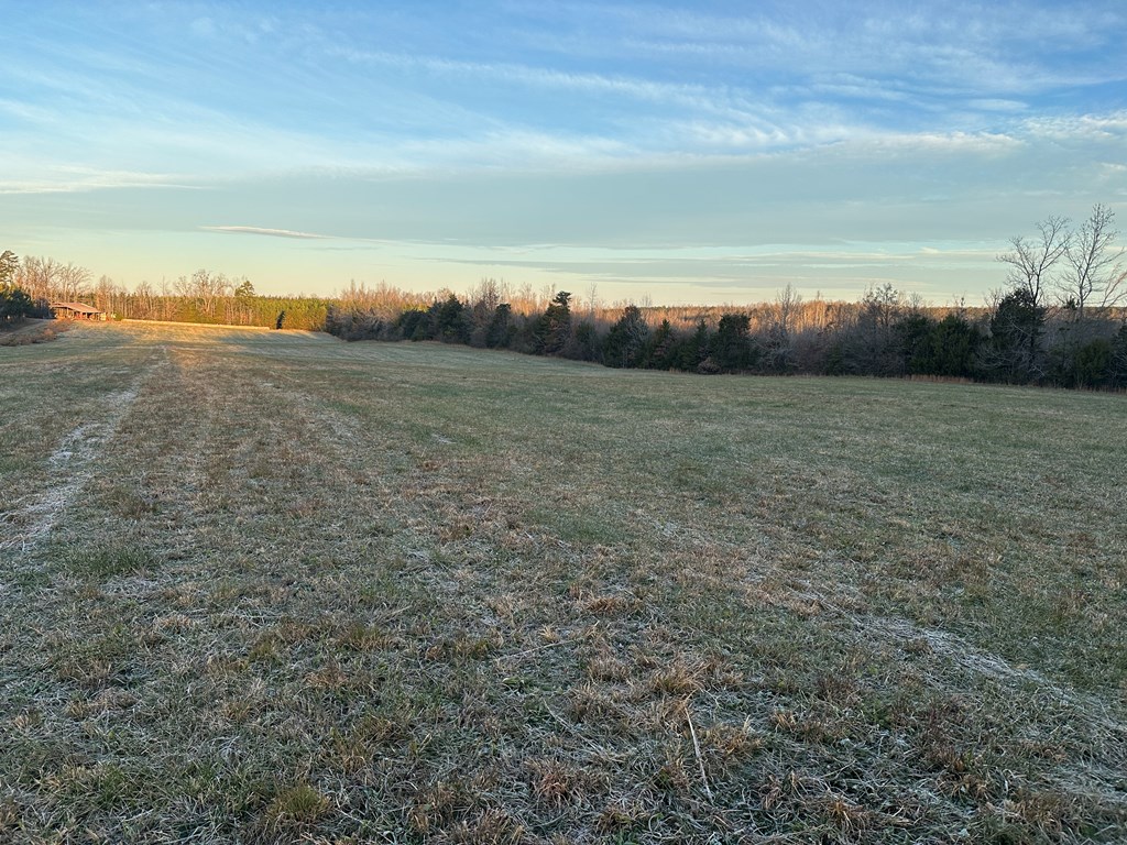 60 Acres Herzig Road Property Photo 5
