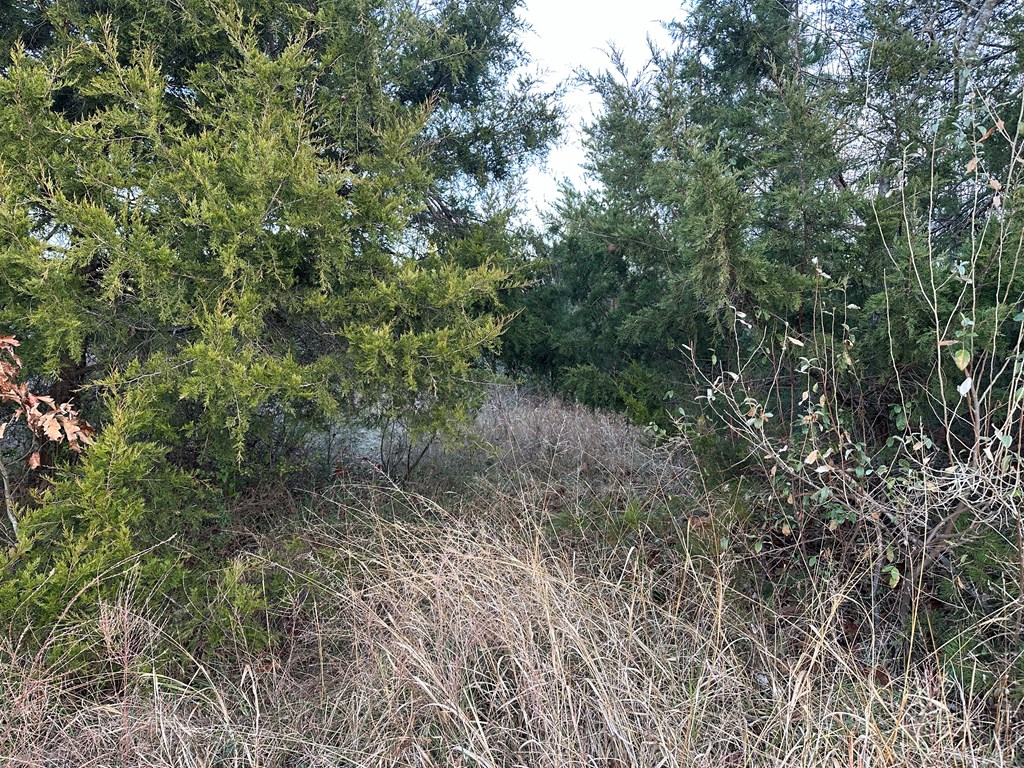 60 Acres Herzig Road Property Photo 6