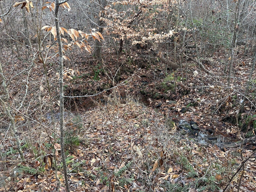 60 Acres Herzig Road Property Photo 19