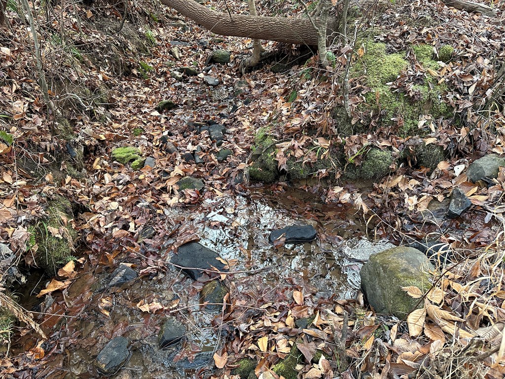 60 Acres Herzig Road Property Photo 20
