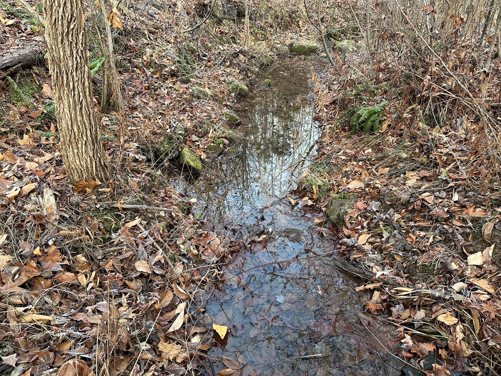 60 Acres Herzig Road Property Photo 21